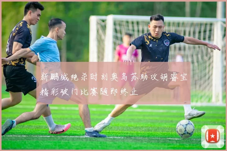 新鹏城绝杀时刻奥乌苏助攻胡睿宝精彩破门比赛随即终止