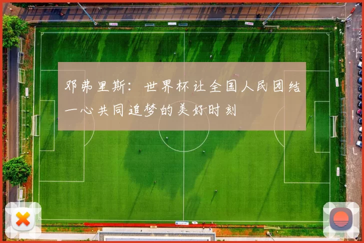 邓弗里斯：世界杯让全国人民团结一心共同追梦的美好时刻