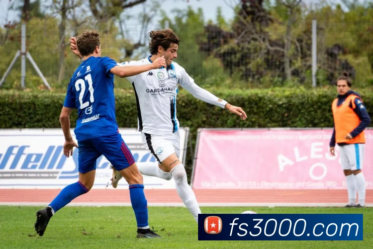 mksports在线登录平台生态图
