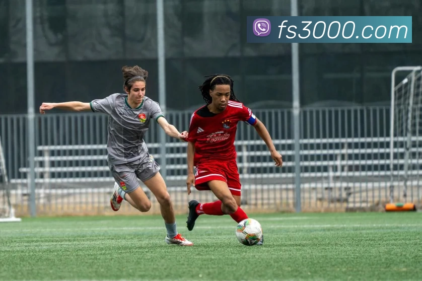 mksports在线登录全站App